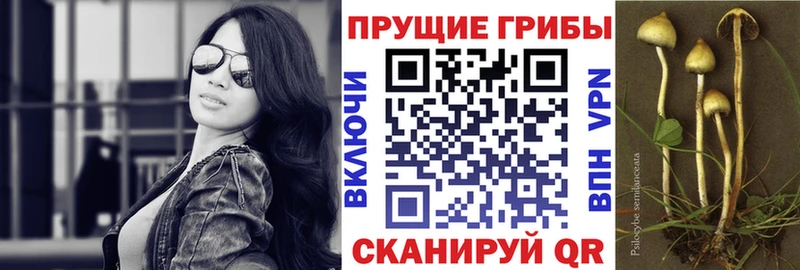Псилоцибиновые грибы мухоморы  Купить закладки  Гурьевск 